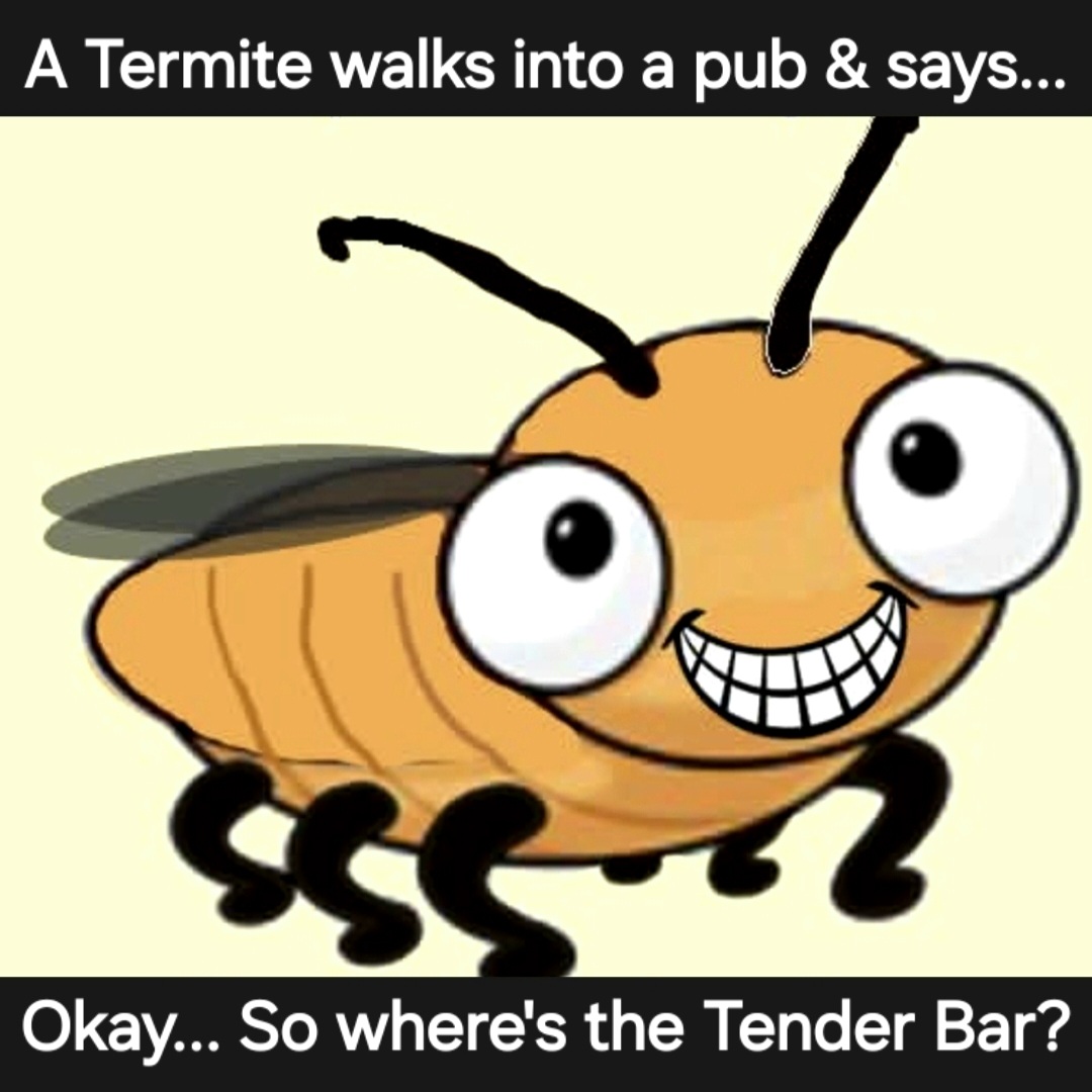 Termite Svc